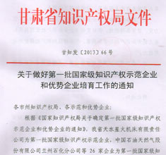 國(guó)家級(jí)知識(shí)產(chǎn)權(quán)示范和優(yōu)勢(shì)企業(yè)