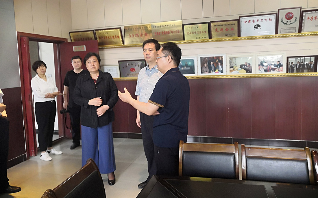 省委軍民融合辦主任及市紀(jì)委書(shū)記檢查指導(dǎo)工作